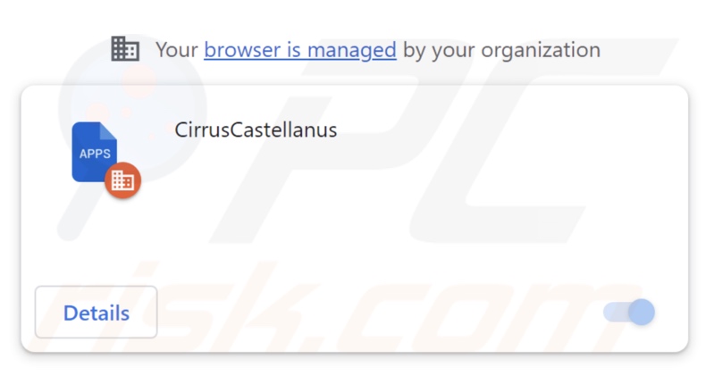 Extensión de navegador CirrusCastellanus