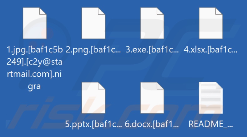 Archivos cifrados por el ransomware Nigra (extensión .nigra)