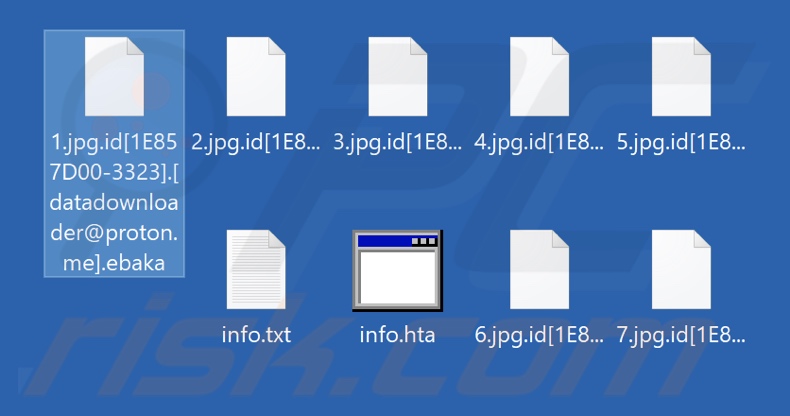 Archivos cifrados por el ransomware Ebaka (extensión .ebaka)
