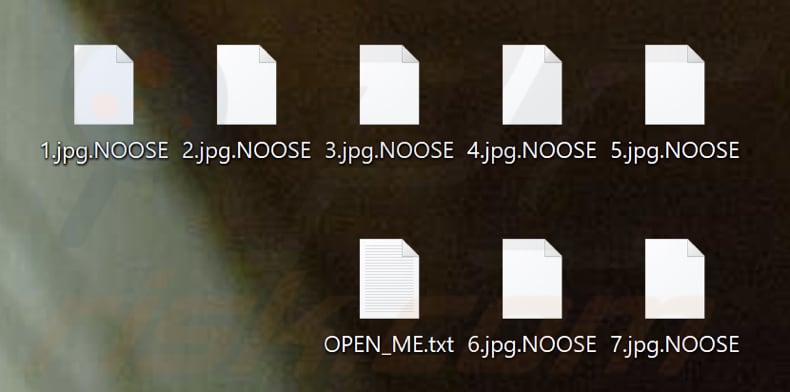 Archivos cifrados por el ransomware NOOSE (extensión .NOOSE)