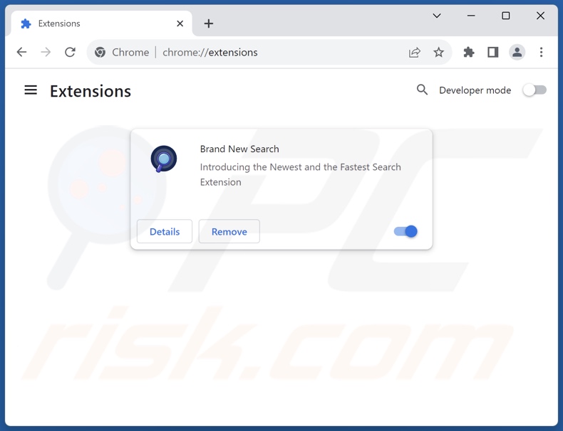 Eliminación de las extensiones de Google Chrome relacionadas con brandnewsearch.com