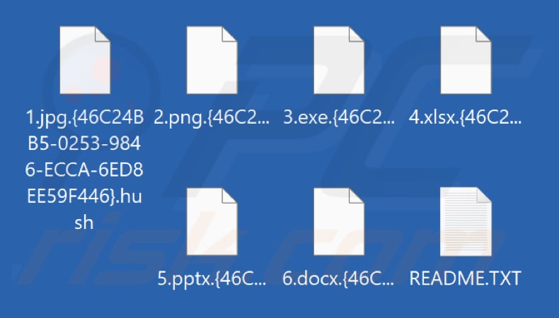 Archivos cifrados por el ransomware Hush (extensión .hush)