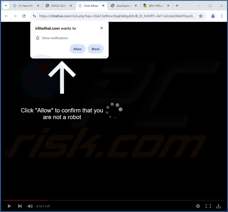 irlitathal[.]com anuncios