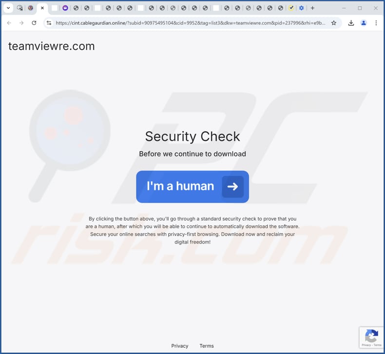 Página web utilizada para promocionar NetGuard PUA