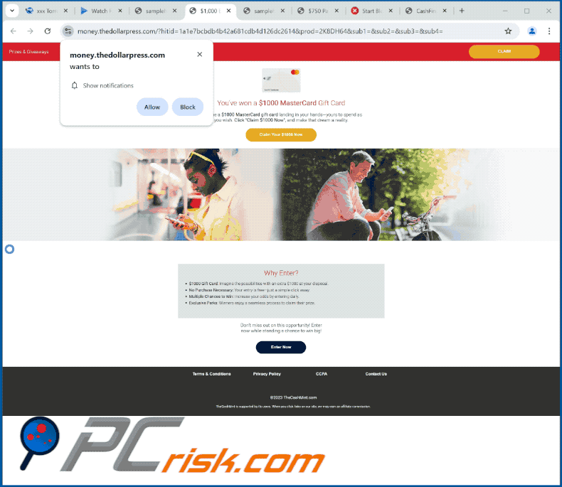 thedollarpress[.]com apariencia del sitio web (GIF)