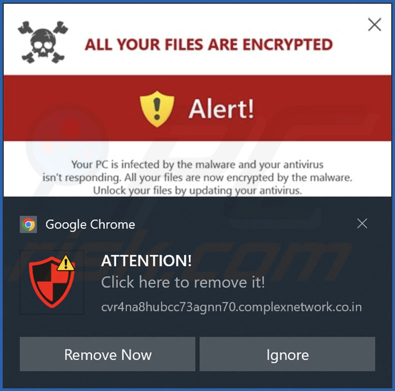 Anuncio difundido por la página web complexnetwork.co[.]in