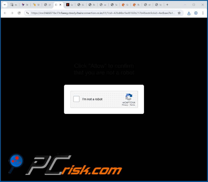 steadychainconnection.co[.]in apariencia del sitio web (GIF)