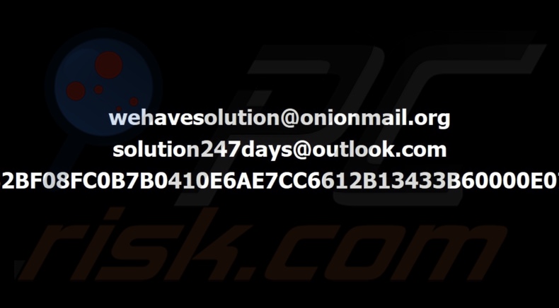 Fondo de pantalla de SolutionWeHave ransomware