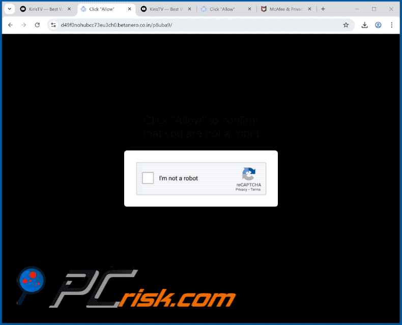 betanero.co[.]in apariencia del sitio web (GIF)