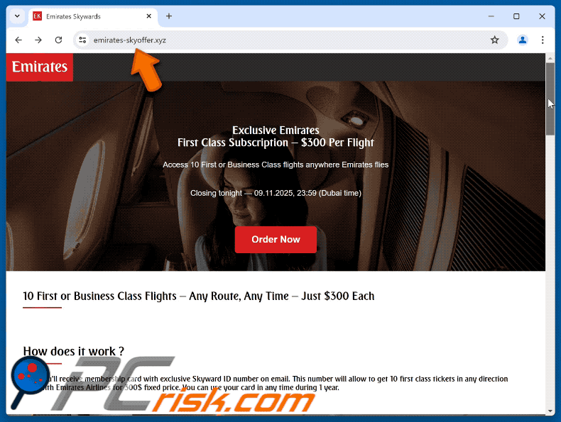Appearance of a fake Emirates First Class Subscription site (GIF)