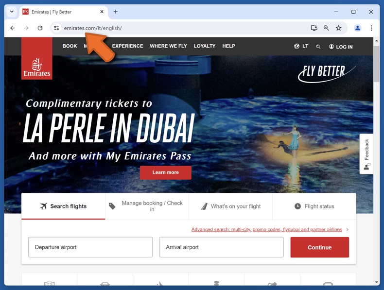 Appearance of the real Emirates website (emirates.com)