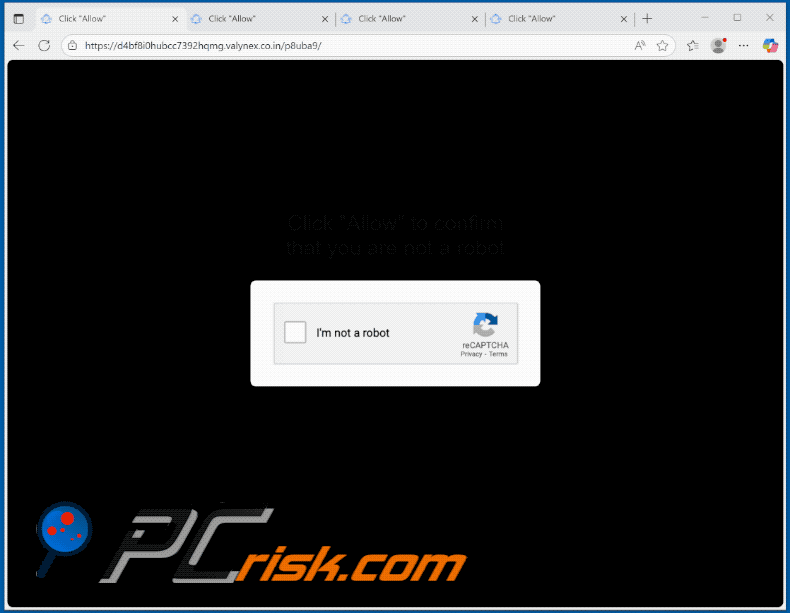 valynex.co[.]in website apariencia (GIF)