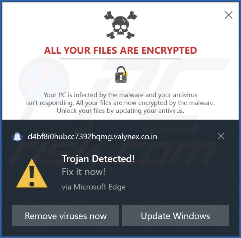 Anuncio publicado por la página web valynex.co[.]in
