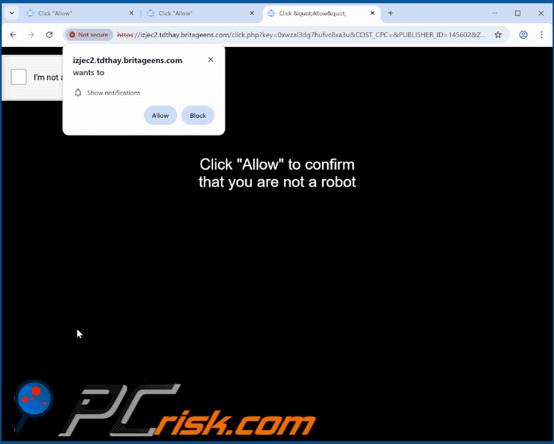 britageens[.]com website apariencia (GIF)