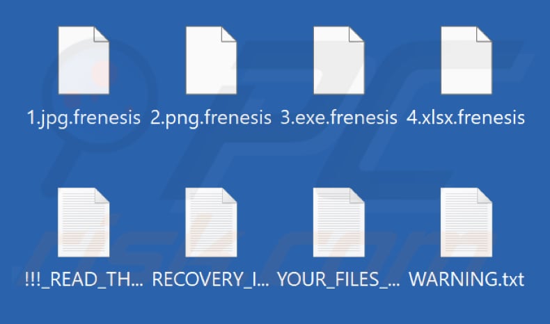 Archivos cifrados por el ransomware Frenesis Nexus (extensión .frenesis)