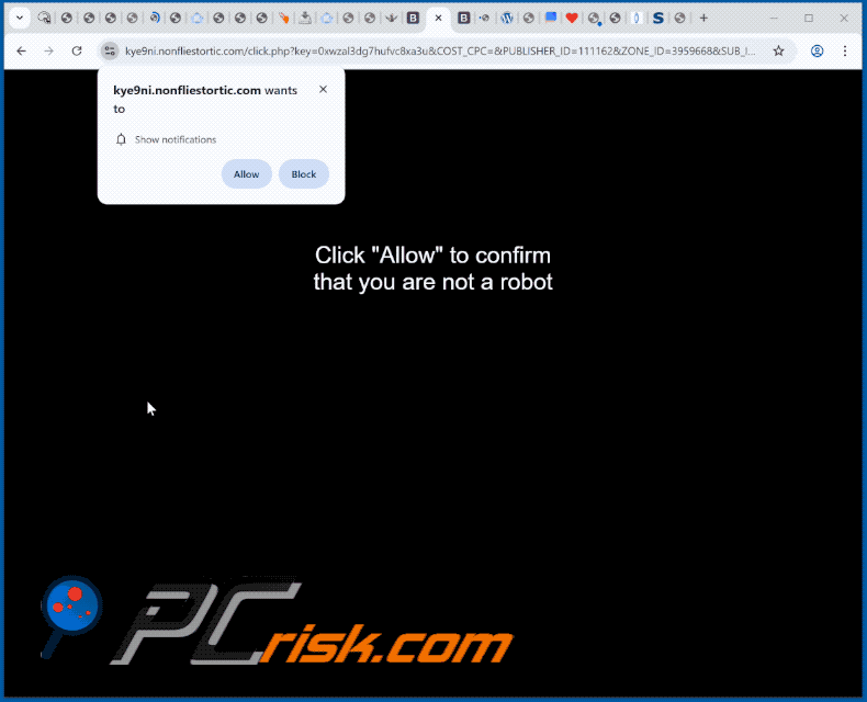 Apariencia del sitio web nonfliestortic[.]com (GIF)