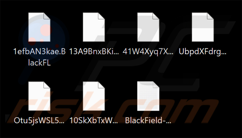 Archivos cifrados por BlackFL (BlackField) (2026-02-11)