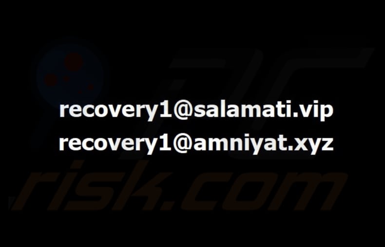 Bear ransomware papel pintado