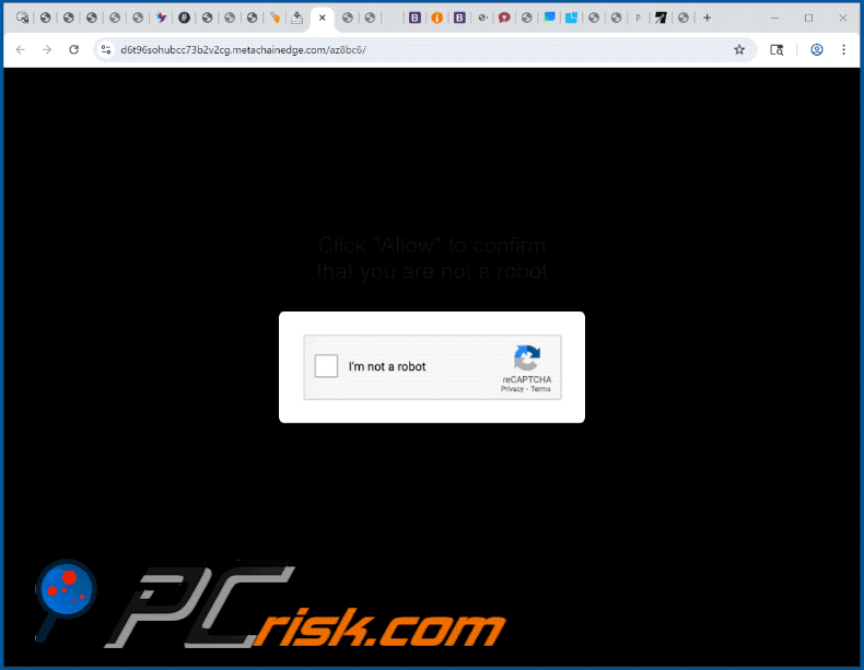 metachainedge[.]com aspecto del sitio web (GIF)