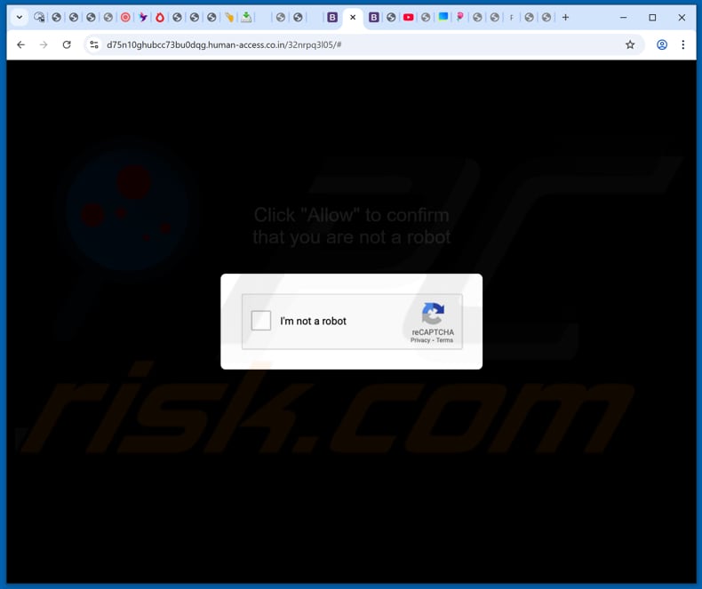 human-access.co[.]in anuncios