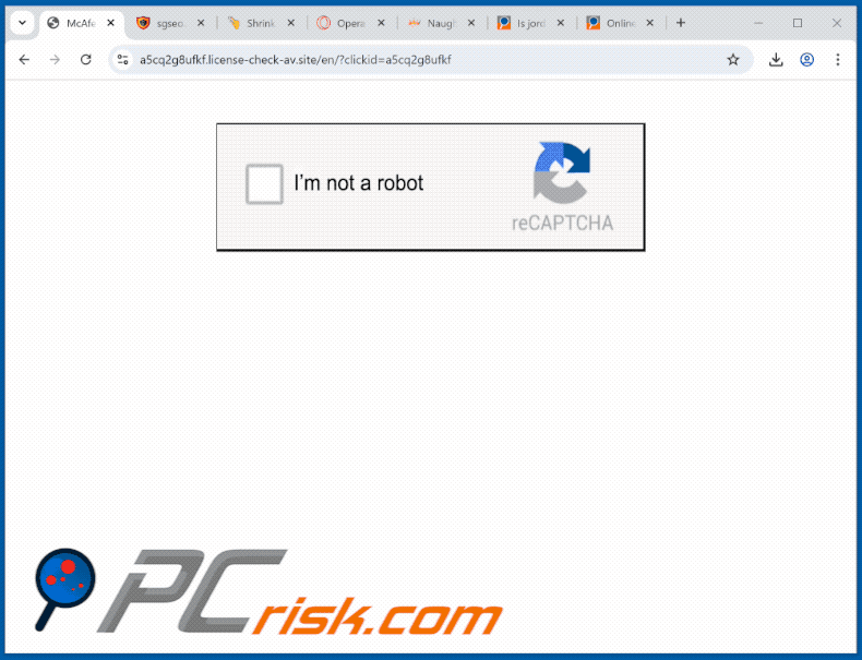Apariencia del sitio web license-check-av[.]site (GIF)