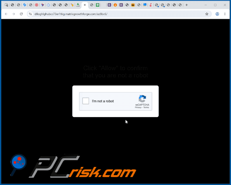 apariencia del sitio web matrixgrowthforge[.]com (GIF)