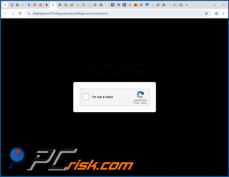aspecto del sitio web ascendscaleforge[.]com (GIF)