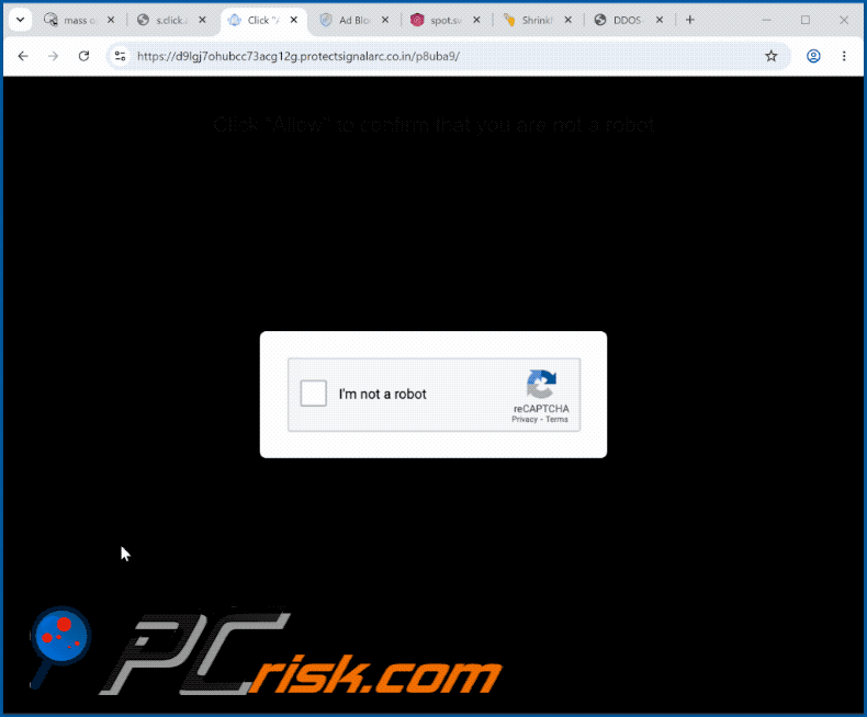 apariencia del sitio web protectsignalarc[.]co.in (GIF)