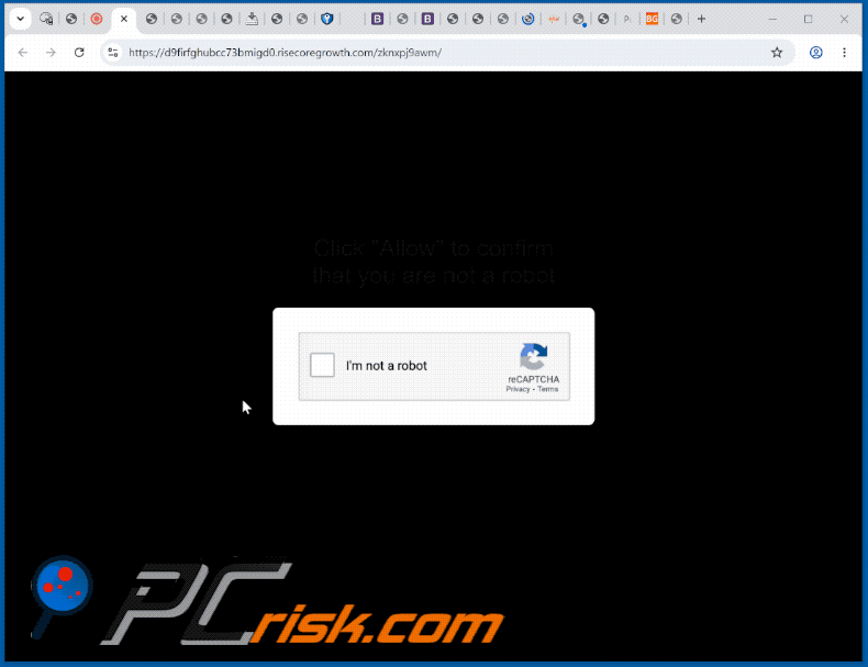 apariencia del sitio web risecoregrowth[.]com (GIF)