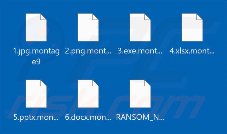 Archivos cifrados por el ransomware Montage (extensión .montage9)