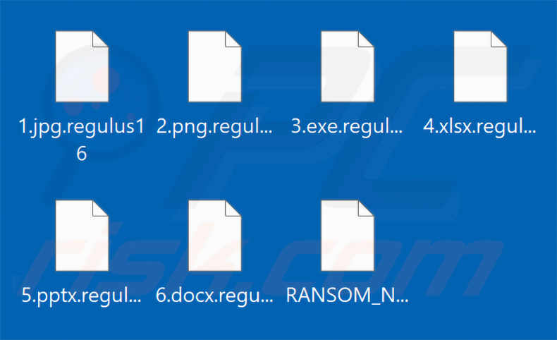 Archivos cifrados por el ransomware Regulus (extensión .regulus16)
