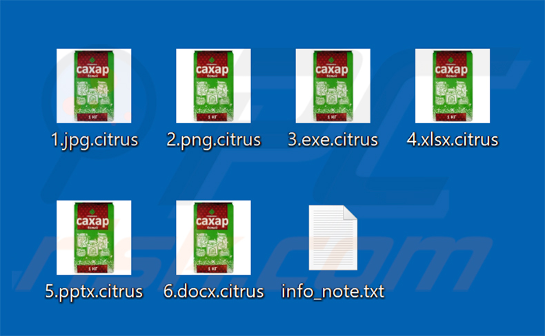 Archivos cifrados por el ransomware Citrus (extensión .citrus)
