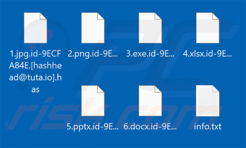 Archivos cifrados por el ransomware Has (extensión .has)