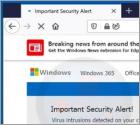 Estafa Emergente "Important Security Alert!"