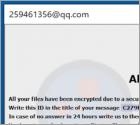 Ransomware 259