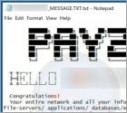 Ransomware Pay2Key