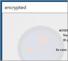Ransomware Easy