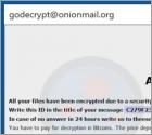 Ransomware 4o4