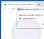 Anuncios Allowsuccess.org