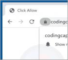 Anuncios Codingcaptcha.com