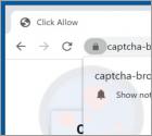 Anuncios Captcha-bros.com