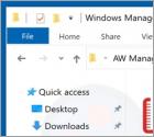 Adware "Windows Manager"