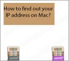 ¿Cómo Averiguar Su Dirección IP En Mac?