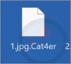 El Ransomware Cat4er
