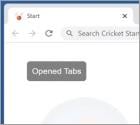 Secuestrador del navegador Cricket Start