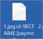 El ransomware "Zxcvb"