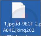 Ransomware "K1ng"