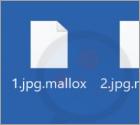 Ransomware "Mallox"