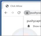 Anuncios "Pushycaptcha.live"