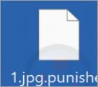 Ransomware "Team Punisher"